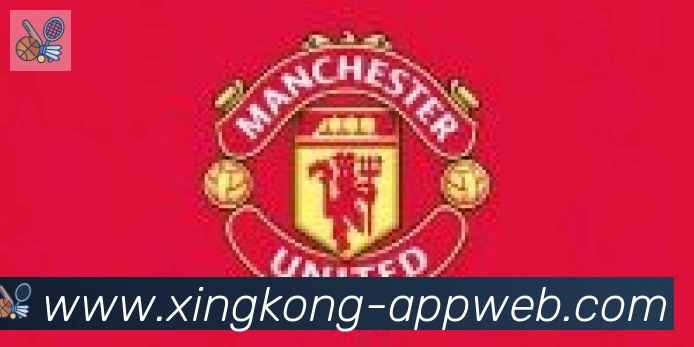 星空体育官网合作伙伴